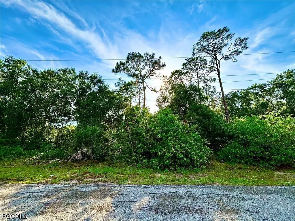 907 Fitch Avenue, Lehigh Acres, FL 33972 - #1