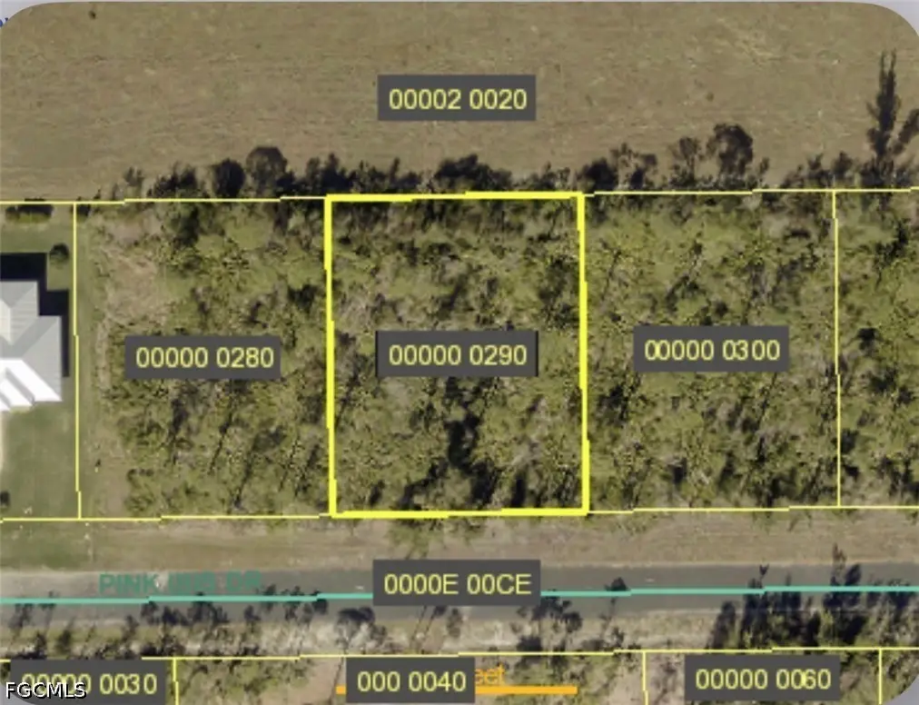3580 Pink Ibis Drive, Saint James City, FL 33956 - #1