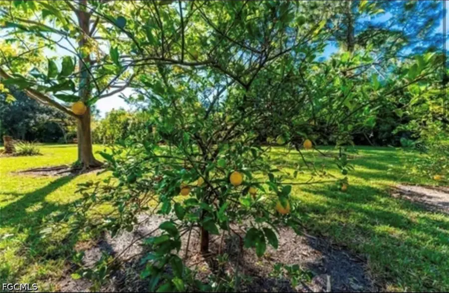 25271 Roland Lane, Punta Gorda, FL 33955 - #2
