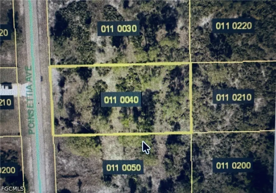 1680 Poinsettia Avenue, Lehigh Acres, FL 33972 - #3