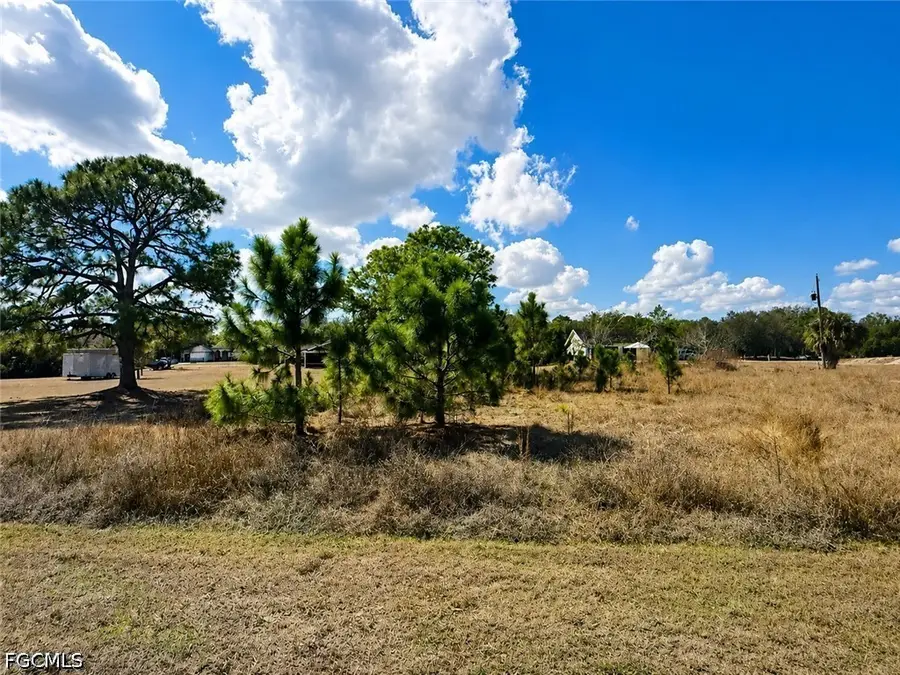 2184 Lincoln Park Avenue, Alva, FL 33920 - #2