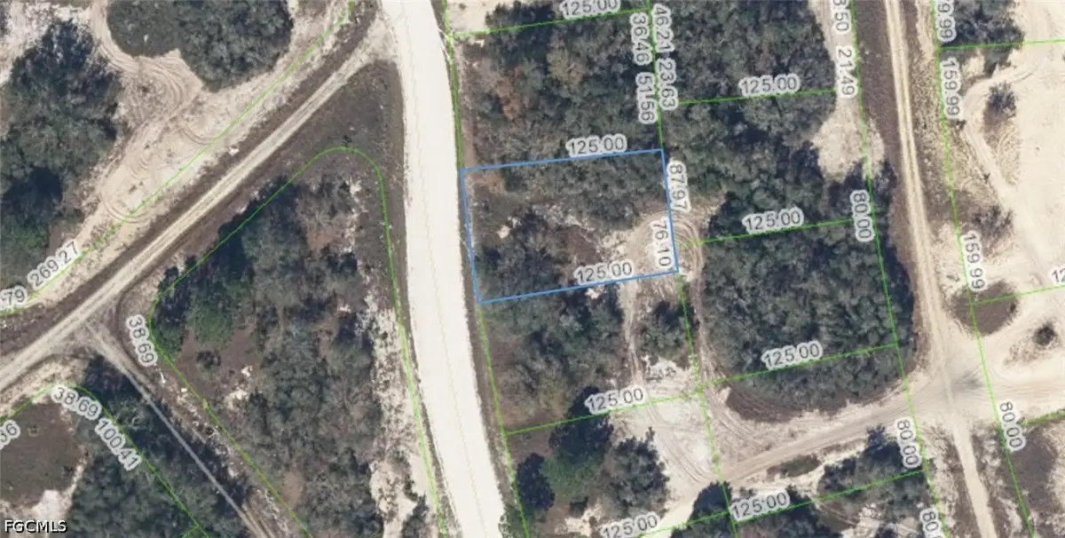 333 Wildwood Drive, Lake Placid, FL 33852 - #1