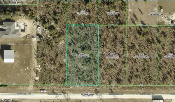 Scissorbill Avenue Lot #18, Weeki Wachee, FL 34614