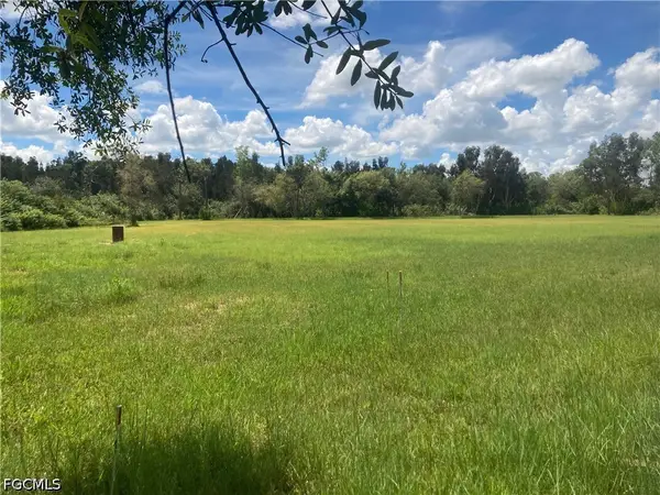 41601 Horseshoe Road, Punta Gorda, FL 33982