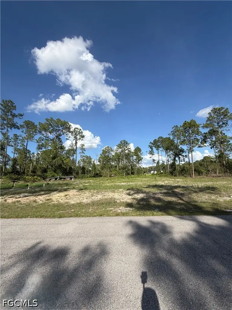 1202 Johns Avenue, Lehigh Acres, FL 33972 - #3