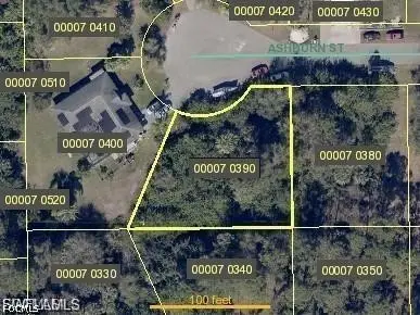 2905 Ashburn Street, Lehigh Acres, FL 33972 - #1