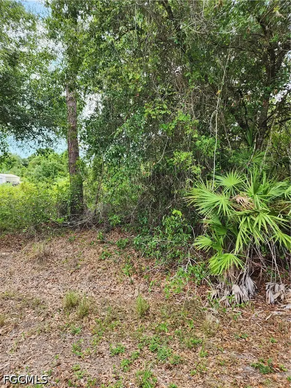 1114 Mckinley Avenue, Lehigh Acres, FL 33972