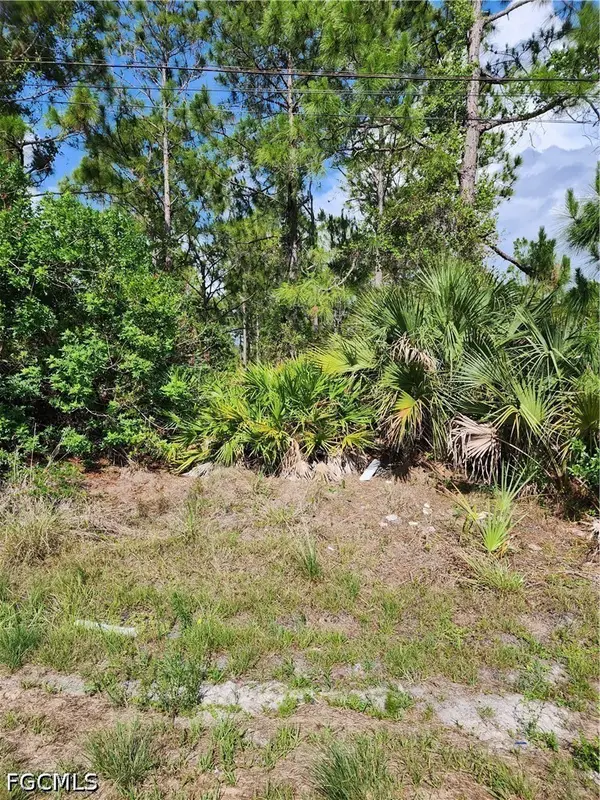 1016 Rush Avenue, Lehigh Acres, FL 33972