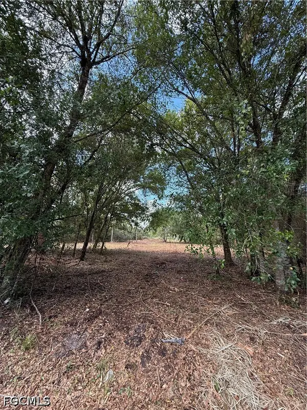 858 Woodland Boulevard, Clewiston, FL 33440