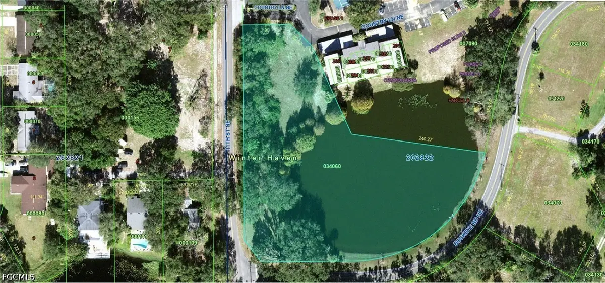 26-28-22-000000-034060 Buckeye Road, Winter Haven, FL 33881 - #1
