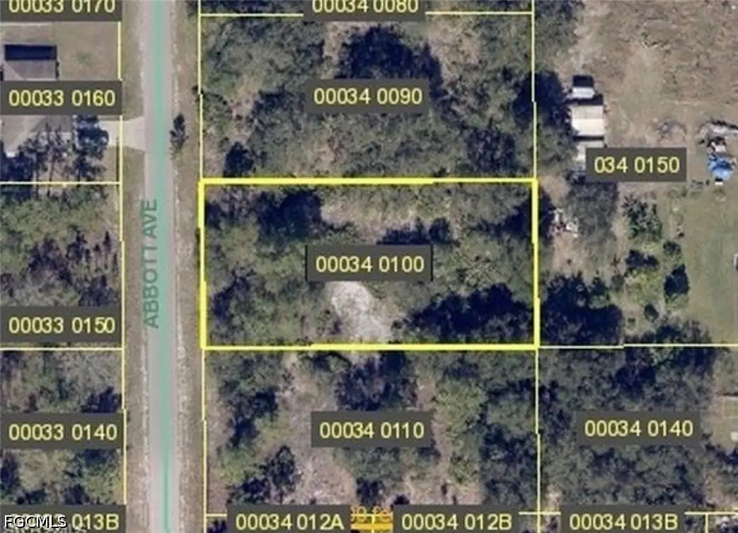 1004 Abbott Avenue, Lehigh Acres, FL 33972 - #1