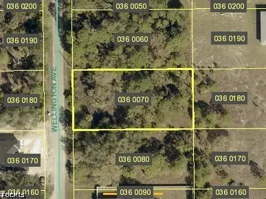 1410 Wellington Avenue, Lehigh Acres, FL 33972 - #1