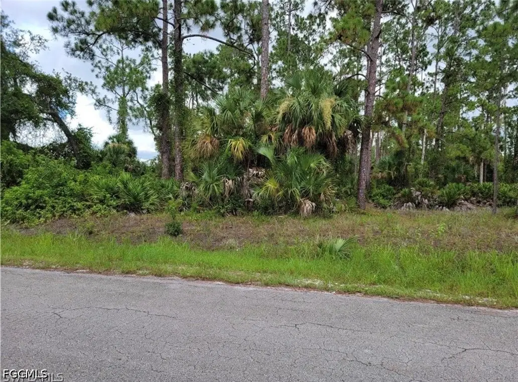 720 Sheldon Avenue, Lehigh Acres, FL 33936 - #1