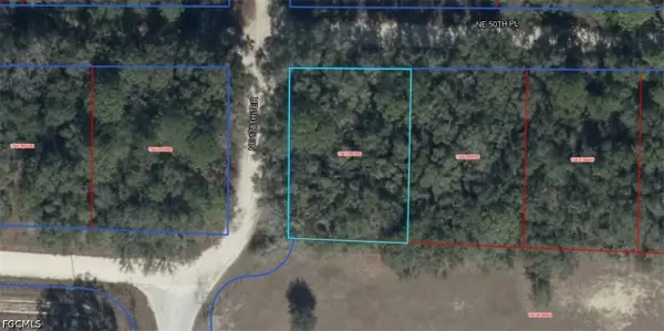 NE 50th Place, Williston, FL 32696