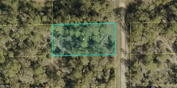 1521 Henry Avenue, Lehigh Acres, FL 33972