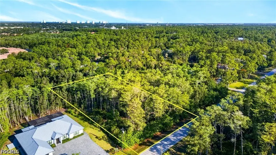 25504 Busy Bee Drive, Bonita Springs, FL 34135 - #2