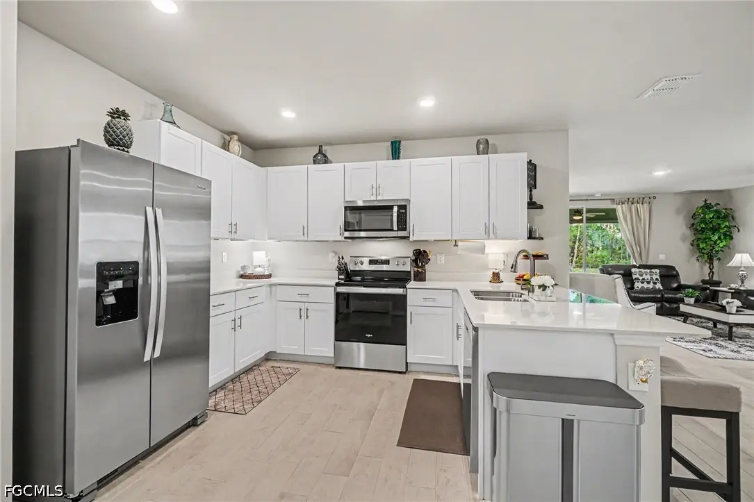 20691 Plumwood Loop, North Fort Myers, FL 33917 - #1