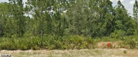 3011 W Dixon Road, Avon Park, FL 33825