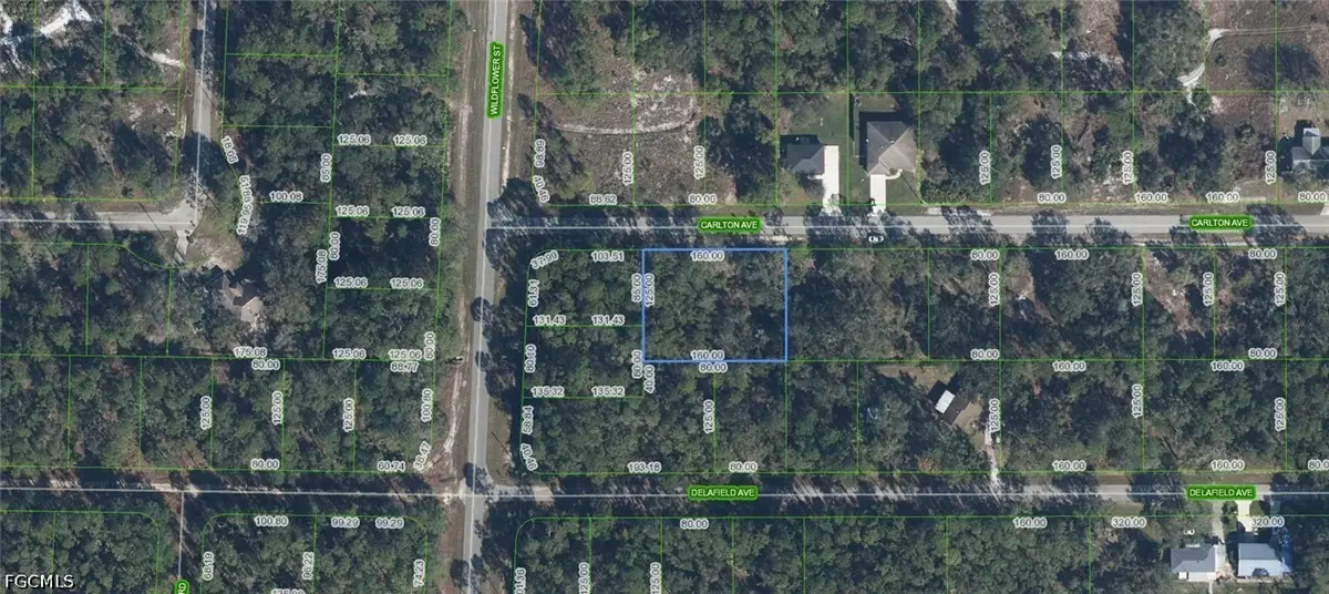 3154 Carlton Avenue, Lake Placid, FL 33852 - #1