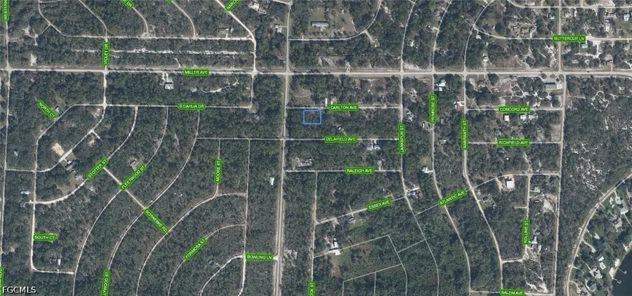 3154 Carlton Avenue, Lake Placid, FL 33852 - #2