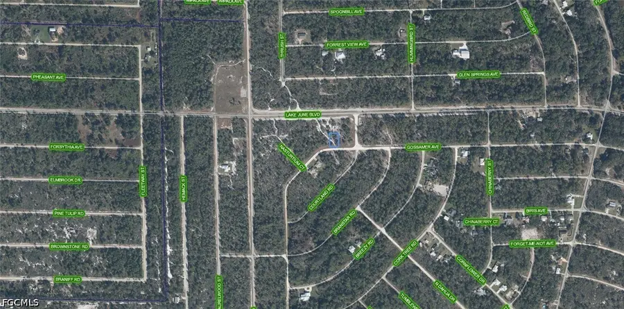 3324 Gossamer Avenue, Lake Placid, FL 33852 - #3