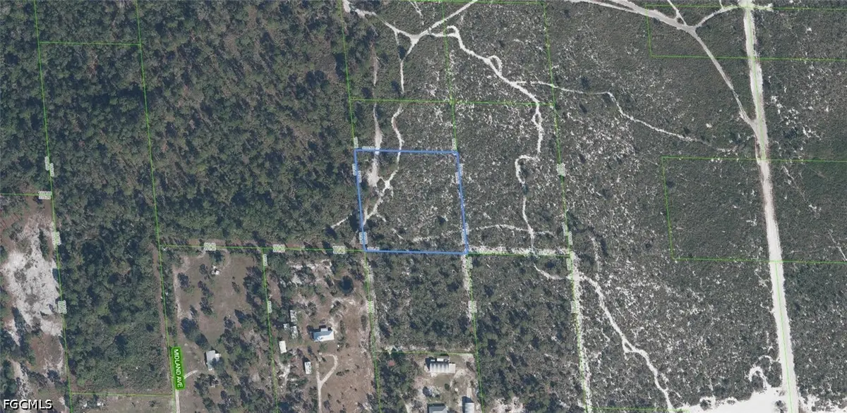 918 Midland Avenue, Lake Placid, FL 33852 - #1