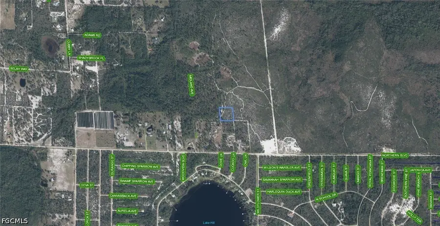 918 Midland Avenue, Lake Placid, FL 33852 - #2