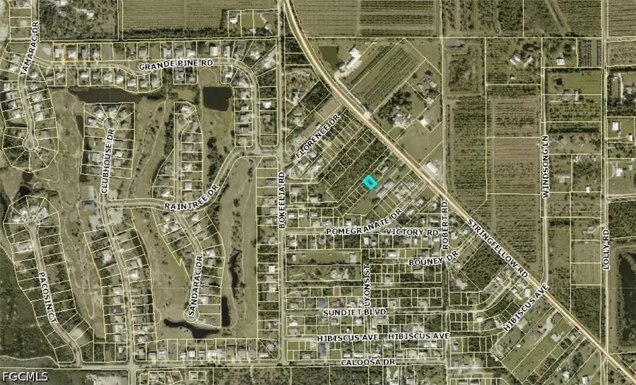 7375 Georgiana Drive, Bokeelia, FL 33922 - #2