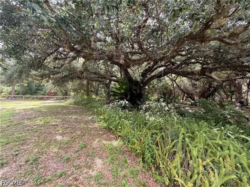 18251 Persimmon Ridge Road, Alva, FL 33920 - #1