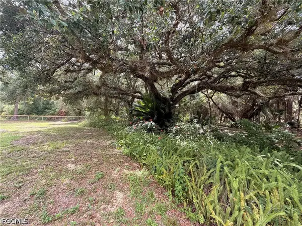 18251 Persimmon Ridge Road, Alva, FL 33920