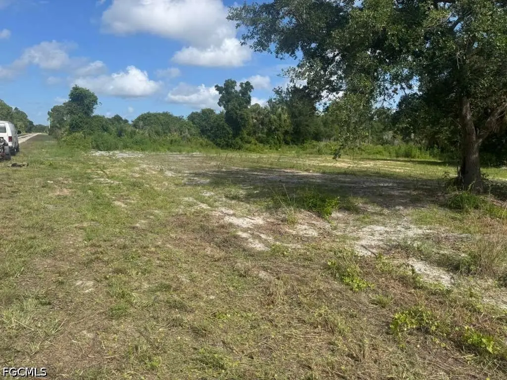 4239 E 29th Street, Alva, FL 33920 - #1