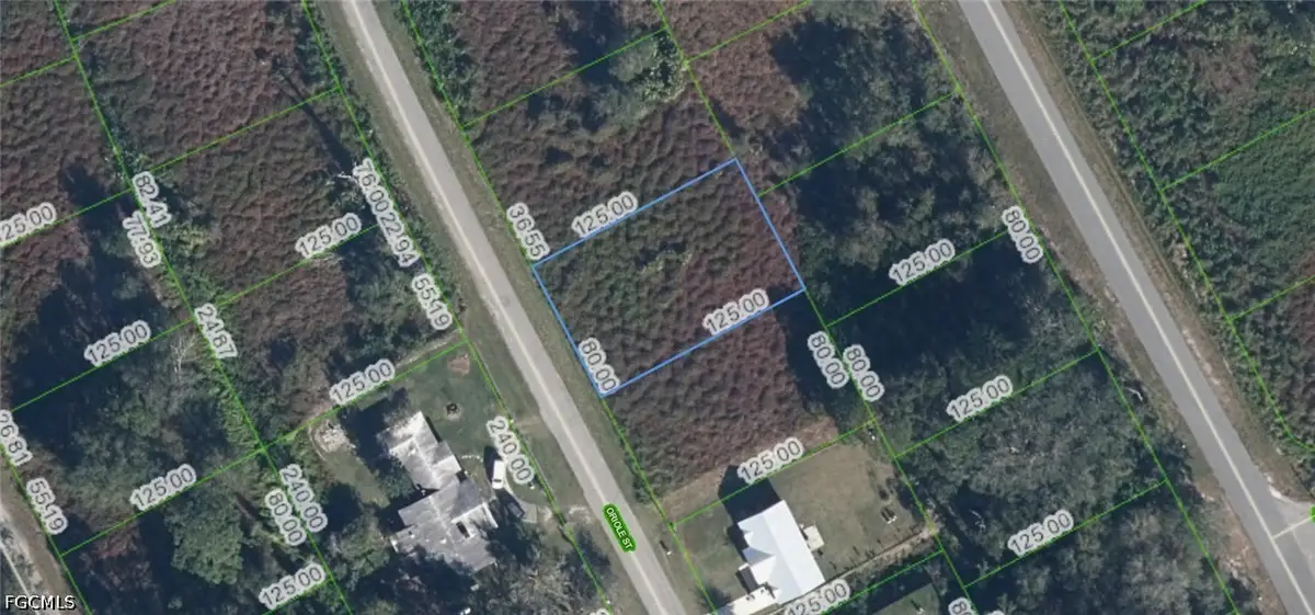 1025 Oriole Street, Lake Placid, FL 33852 - #1