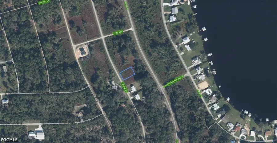 1025 Oriole Street, Lake Placid, FL 33852 - #2