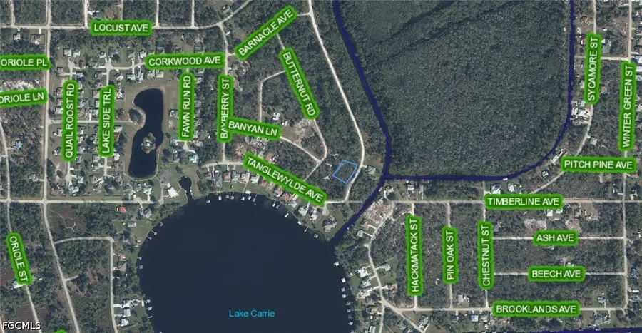 1104 Greenfield Street, Lake Placid, FL 33852 - #3