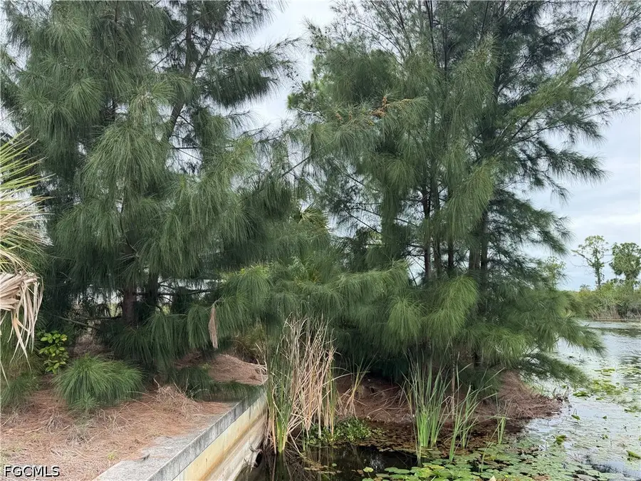 1007 NE 37th Terrace, Cape Coral, FL 33909 - #3