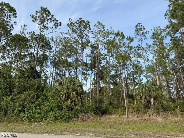 2202 Truman Avenue, Alva, FL 33920