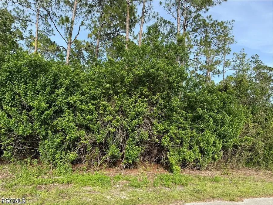 2202 Truman Avenue, Alva, FL 33920 - #2