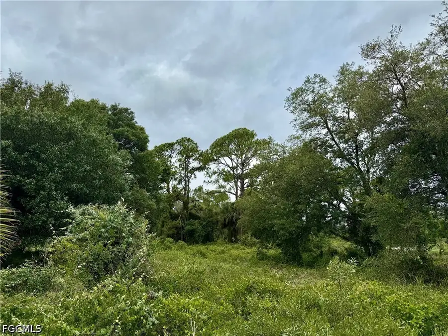 210 S Olivo Street, Clewiston, FL 33440 - #2