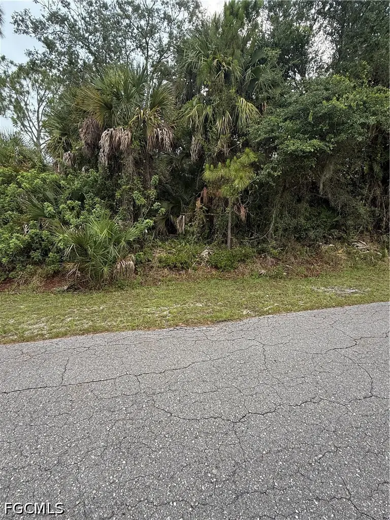 705 Cleveland Avenue, Lehigh Acres, FL 33972 - #1