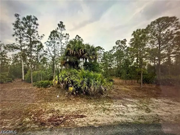 1415 Sheldon Avenue, Lehigh Acres, FL 33972