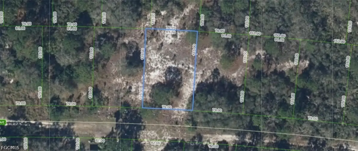 318 Glenbrier Avenue, Lake Placid, FL 33852 - #1