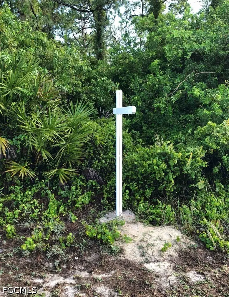 1003 E 16th Street, Lehigh Acres, FL 33972 - #1