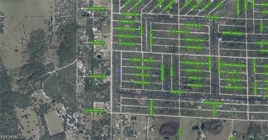3598 Boomer Street, Lake Placid, FL 33852 - #3