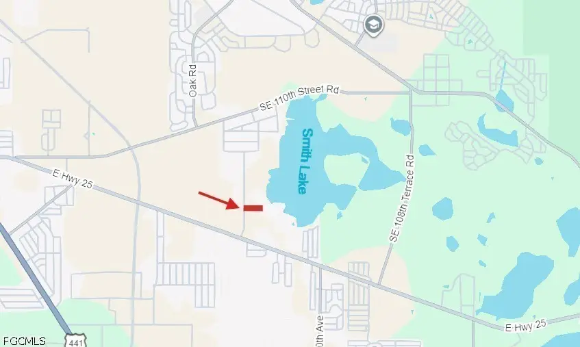 0 SE 92 Court, Belleview, FL 34420 - #3