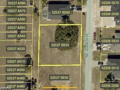 3106 NE Juanita Place, Cape Coral, FL 33909