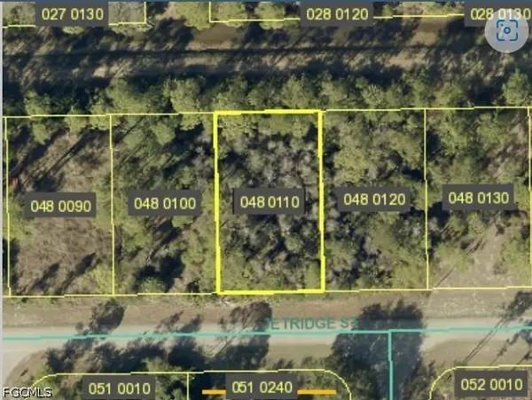 2421 Jetridge Street, Alva, FL 33920