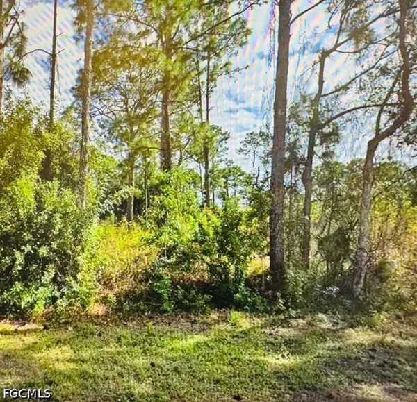 719 Foxtail Street E, Lehigh Acres, FL 33974