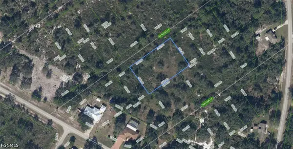 1211 Clinton Street, Lake Placid, FL 33852