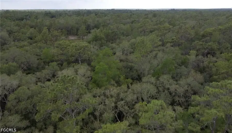 34287 Berryhill Drive, Webster, FL 33597 - #3