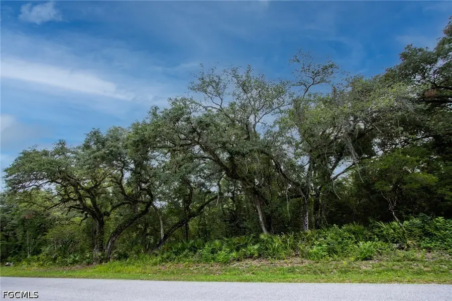 34122 August Avenue, Webster, FL 33597 - #2